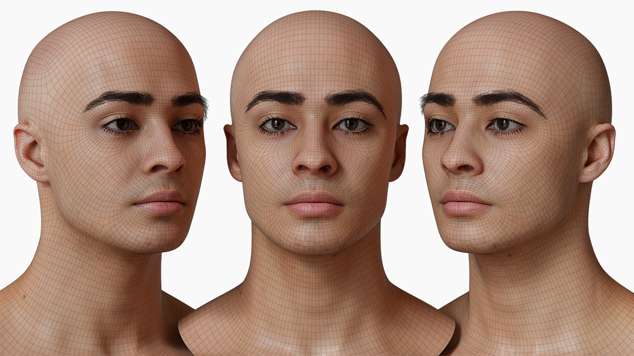 head model wireframe mesh